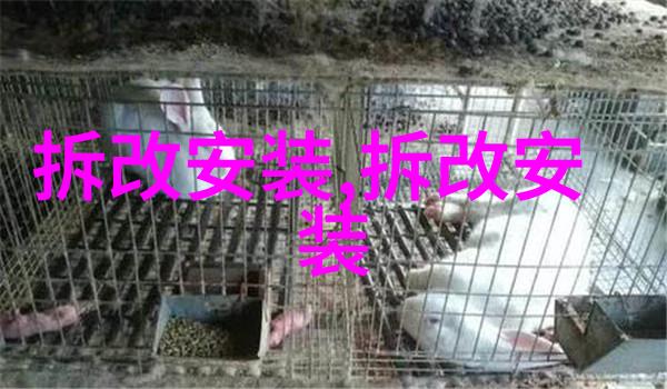 卫生洁具安装指南